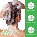 ALIVER Rosemary Hair Growth Shampoo, 300ml