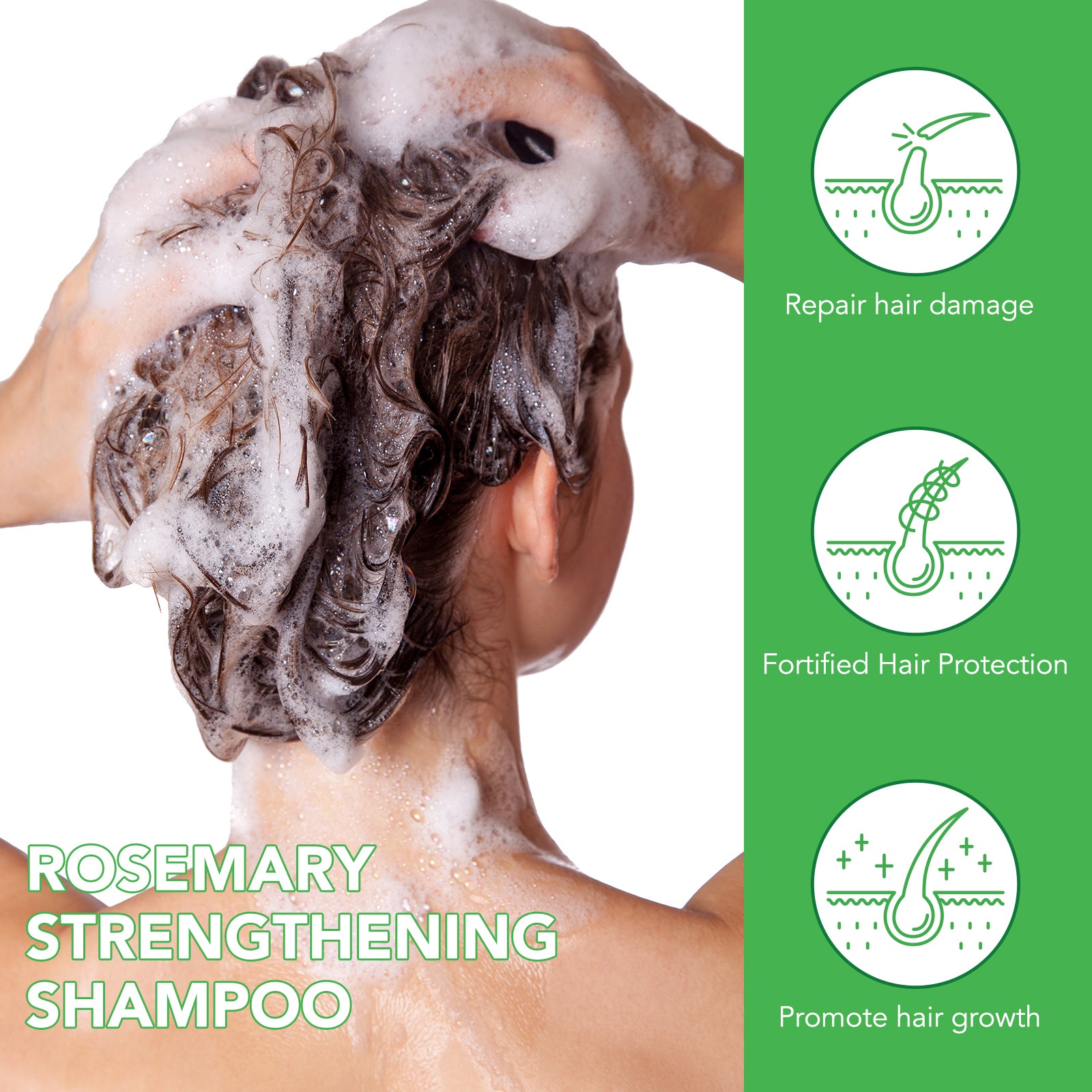ALIVER Rosemary Hair Growth Shampoo, 300ml