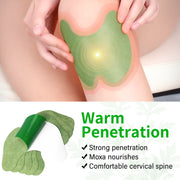 Sefudun Knee Joint Pain Relief Patches, pack of 12pcs