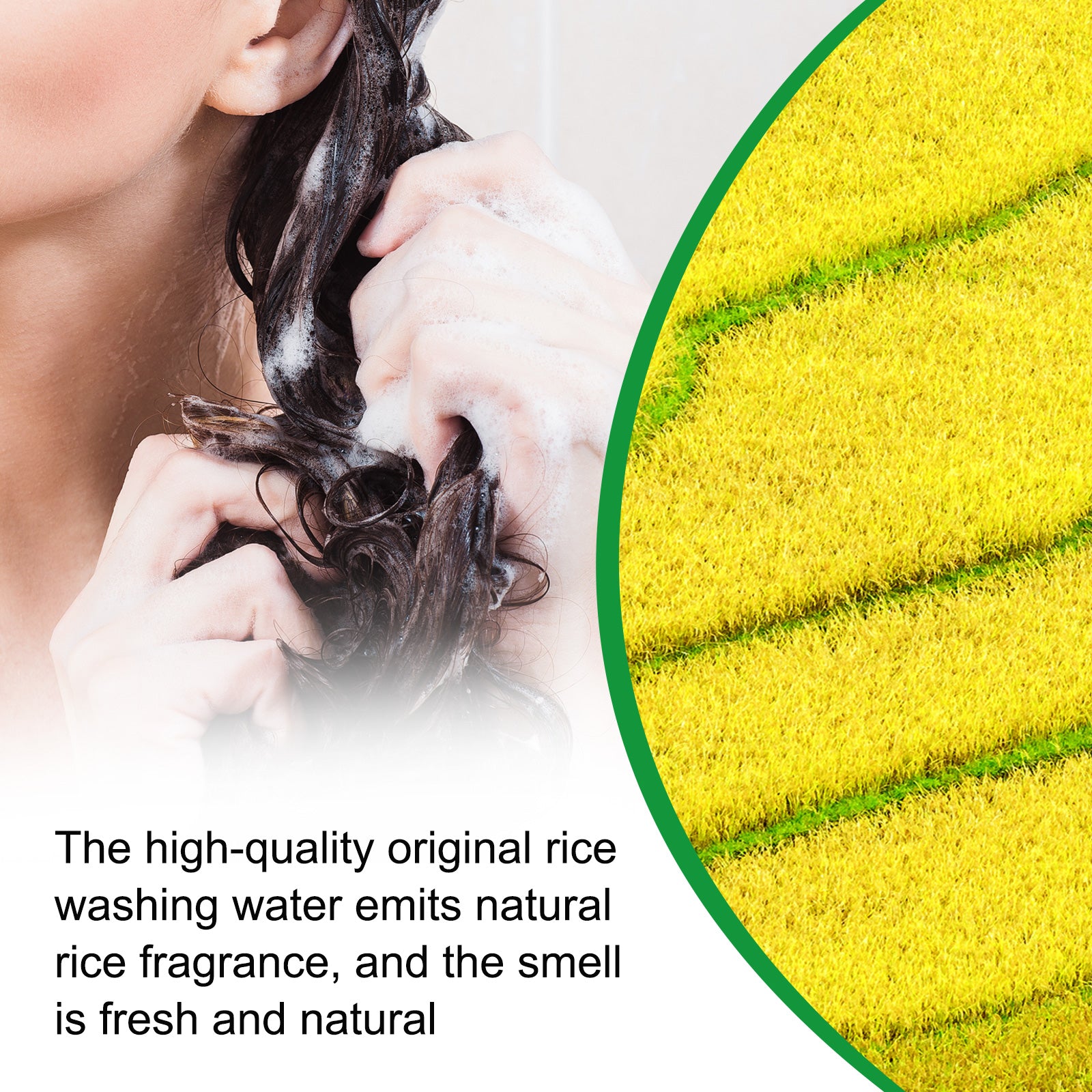 SEFUDUN Rice Water Hair Growth Shampoo, 300ml