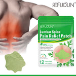 SEFUDUN Lumbar Spine Pain Relief Patches, pack of 12pcs