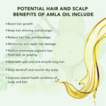 ALIVER Amla Oil for Hair Growth, 60ml