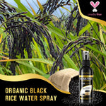 SEFUDUN Organic Black Rice Water Spray for Hair Growth, 100ml