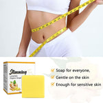 ELAIMEI Natural Ginger Lymphatic Slimming Soap for Face & Body, 100g