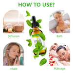 KIZENKA Peppermint Essential Oil, 60ml