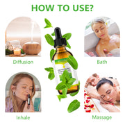 KIZENKA Peppermint Essential Oil, 60ml