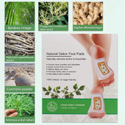 ALIVER Toxin Removal Detox Foot Patches, 10 pcs