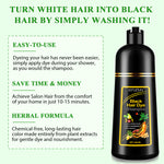 SEFUDUN 3in1 BLACK Hair Dye Shampoo, 500ml