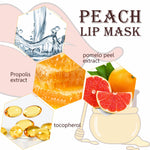 ELAIMEI Propolis Repair Lip Mask, 10g