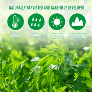 SEFUDUN Wormwood Shoulder Pain Relief Patches, 12pcs