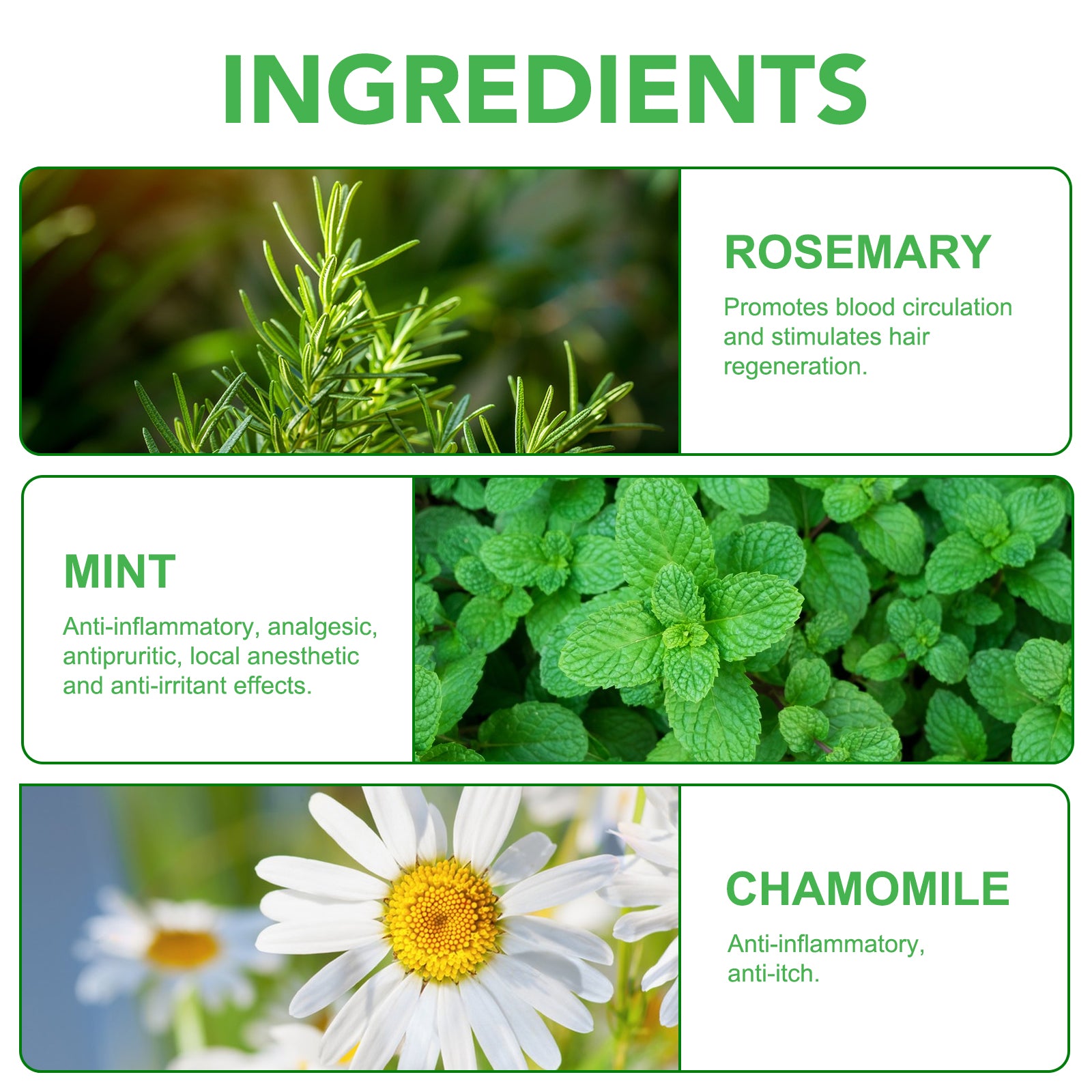 ALIVER Rosemary Hair Growth Shampoo, 300ml