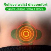 SEFUDUN Lumbar Spine Pain Relief Patches, pack of 12pcs