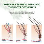 KIZENKA Rosemary Essential Oil, 60ml