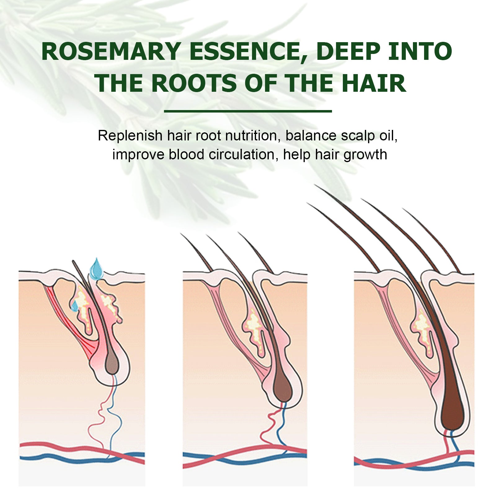 KIZENKA Rosemary Essential Oil, 60ml