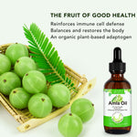 ALIVER Amla Oil for Hair Growth, 60ml