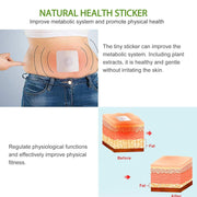 Elaimei Body Slimming Patches for Weight Loss Fat Burn