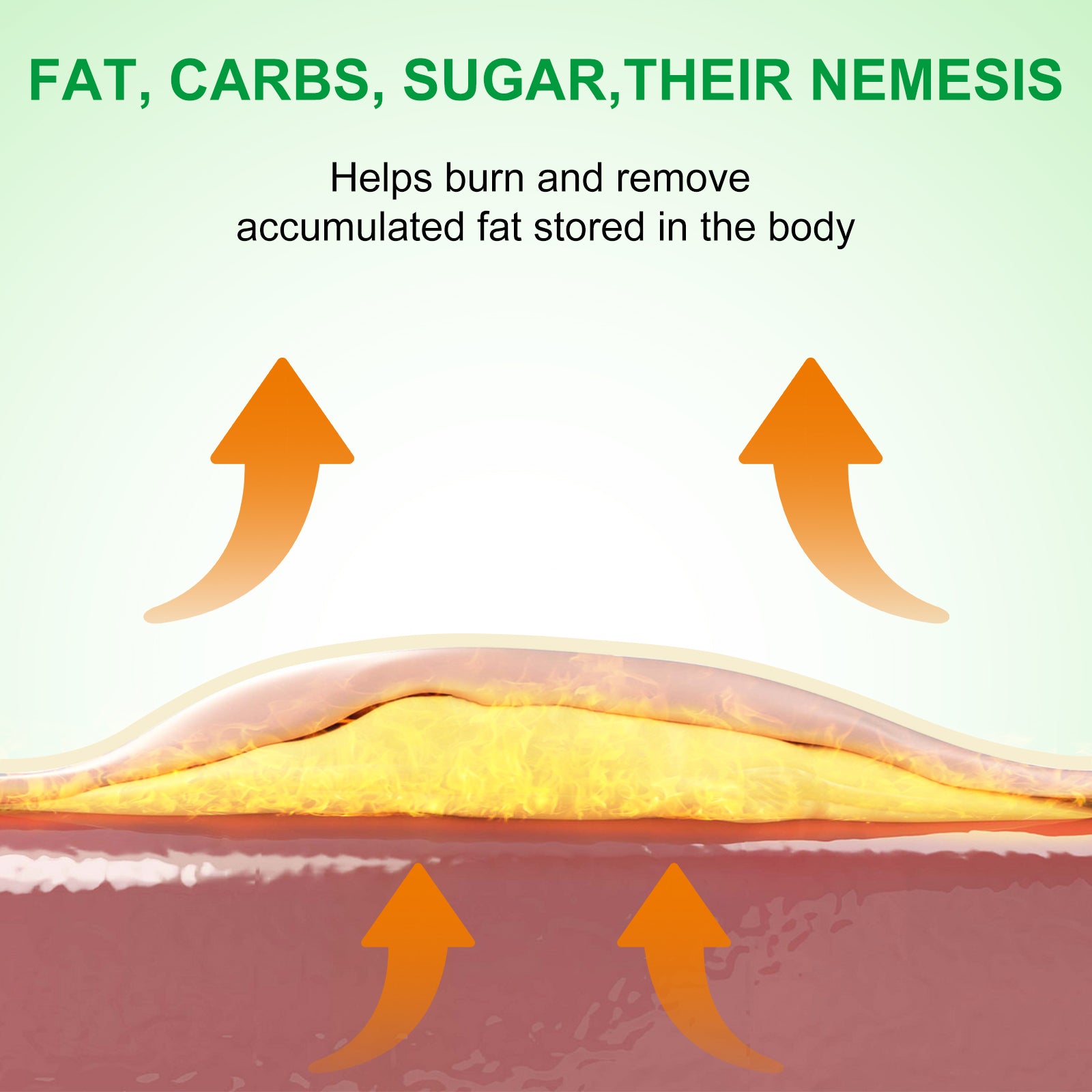 ALIVER Wonder Belly Slimming Patches, 10pcs