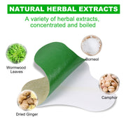 SEFUDUN Lumbar Spine Pain Relief Patches, pack of 12pcs