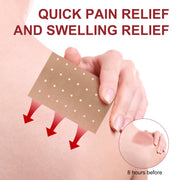 SEFUDUN Pain Relieving Patches, pack of 10pcs