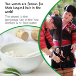 SEFUDUN Rice Water Hair Growth Shampoo, 300ml