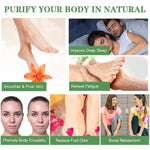 ALIVER Toxin Removal Detox Foot Patches, 10 pcs