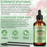NIFEISHI 100% Pure & Natural Monarda Essential Oil, 60ml